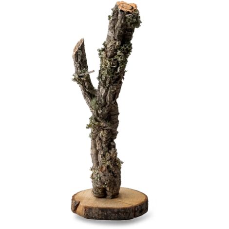 BioBranch Baum 30cm Korkeiche