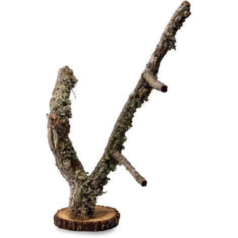 BioBranch Baum 50cm Korkeiche