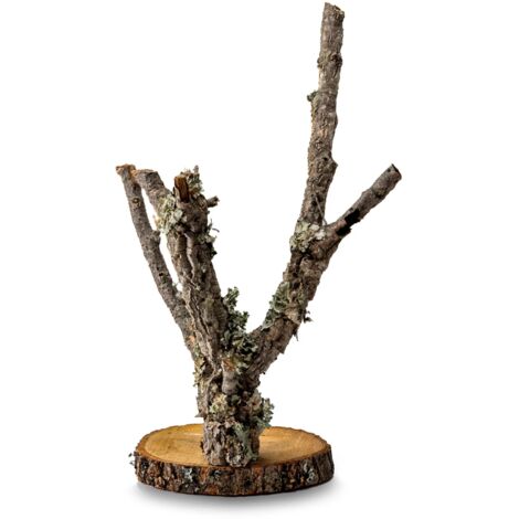 BioBranch Tree 60cm Quercia da sughero