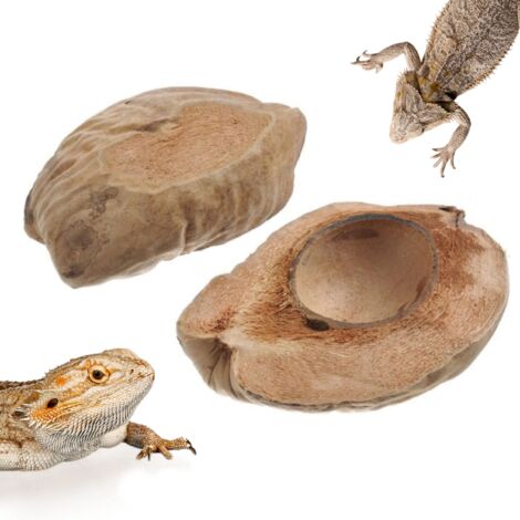 BioCoco Bowl Ciotola in cocco per alimenti
