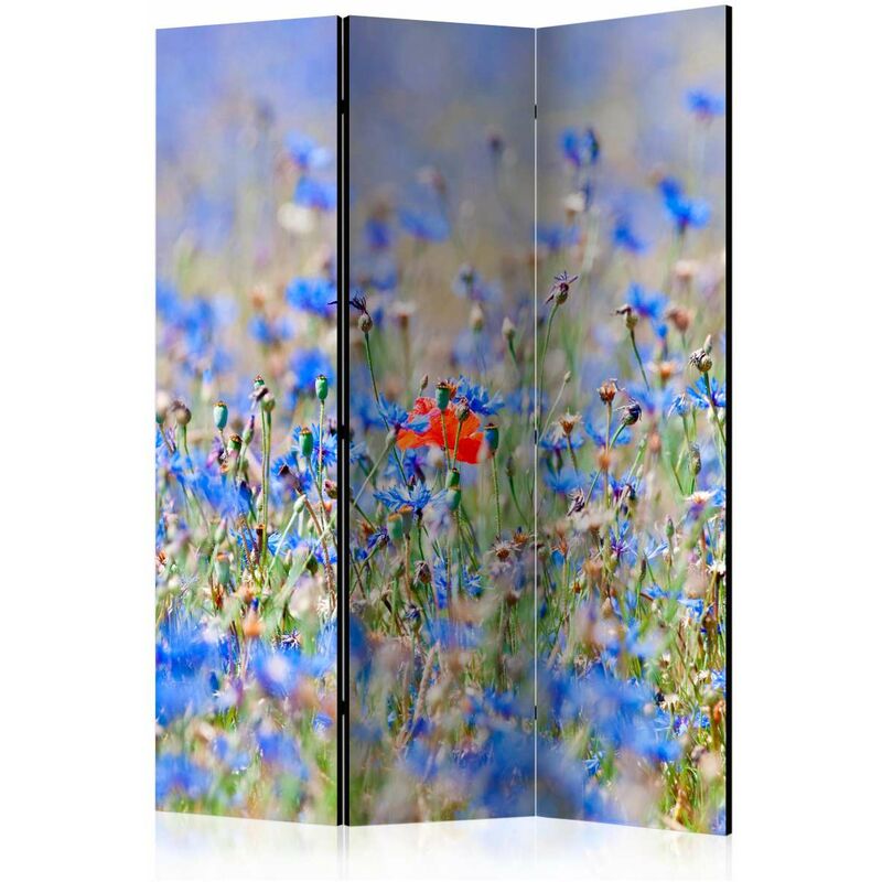 

Biombo - A sky-colored meadow - cornflowers [Room Dividers] Medidas 135X172