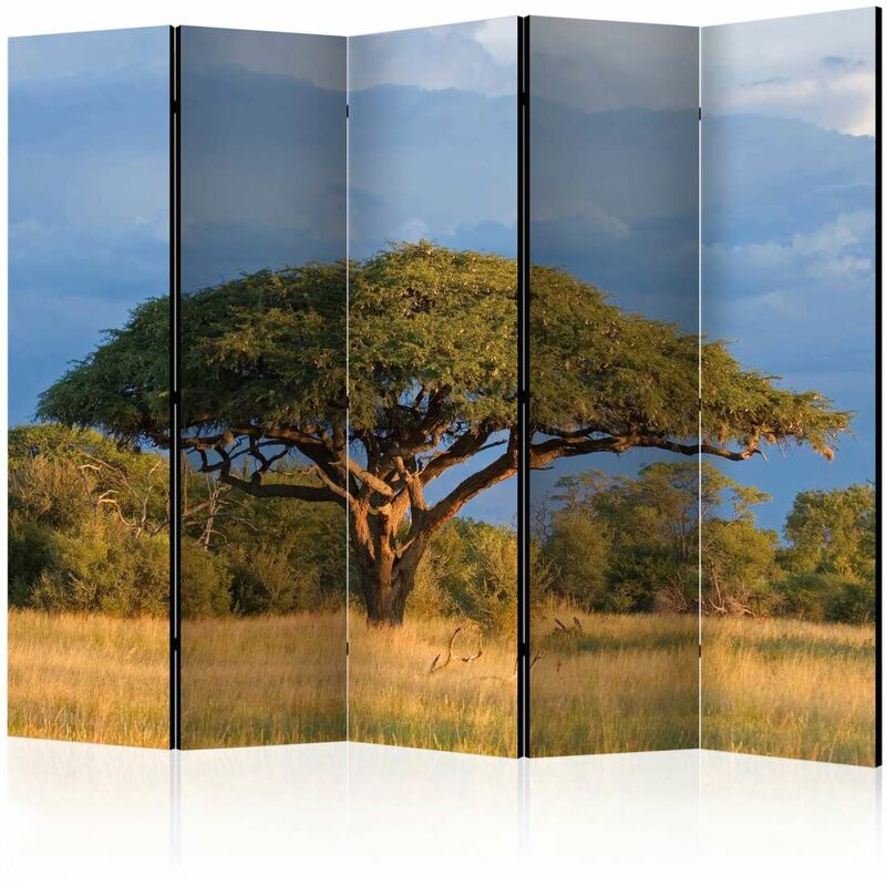 

Biombo - African acacia tree, Hwange National Park, Zimbabwe II [Room Dividers] Medidas 225X172