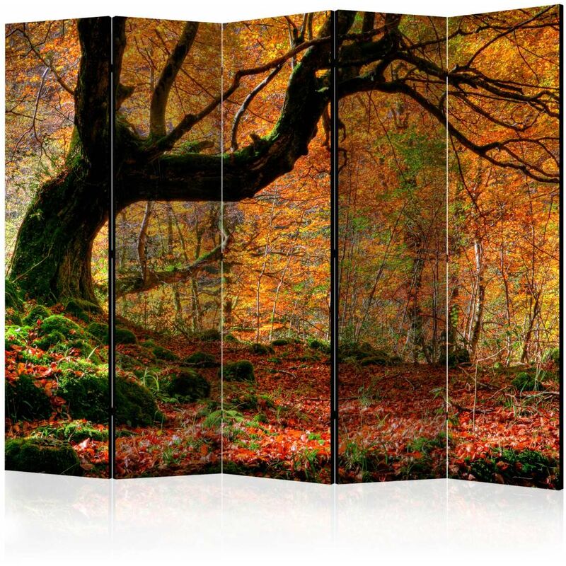 

Biombo - Autumn, forest and leaves II [Room Dividers] Medidas 225X172