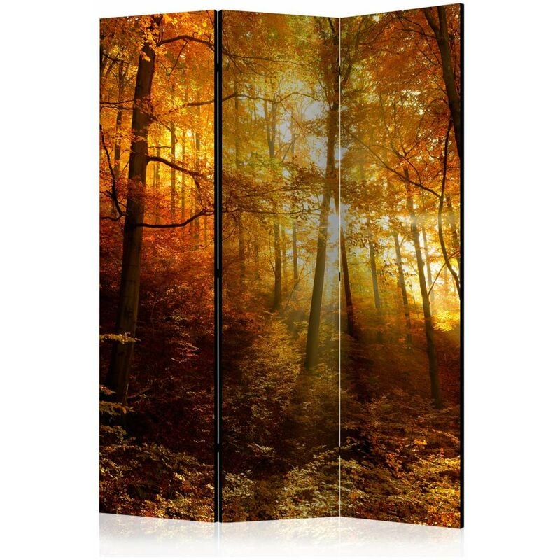 

Biombo - Autumn Illumination [Room Dividers] Medidas 135X172
