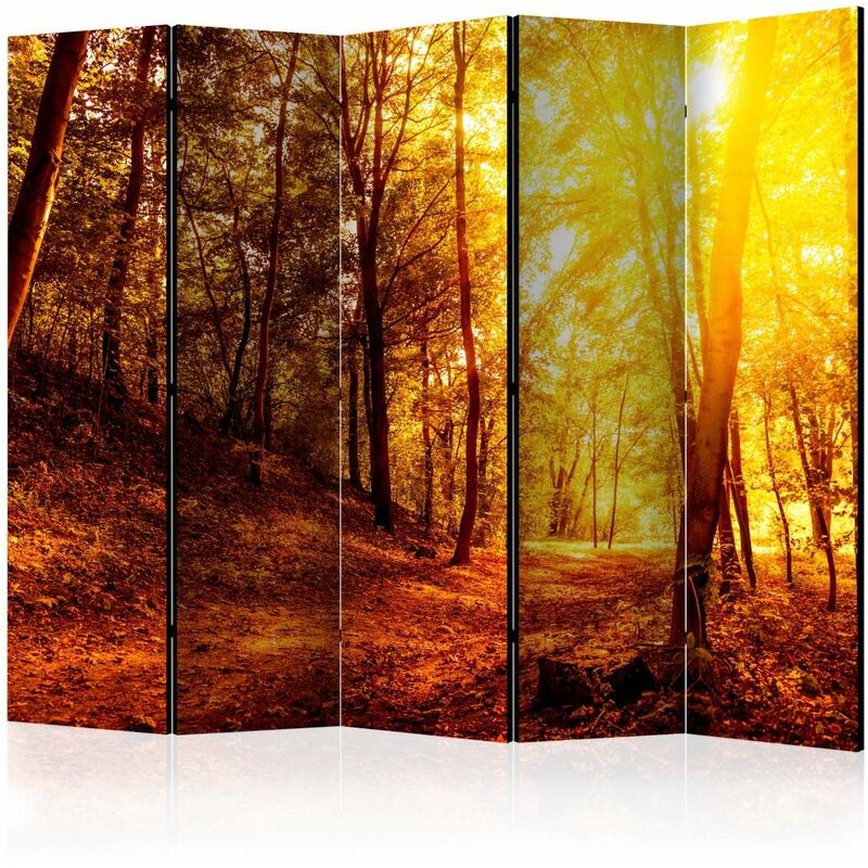 

Biombo - Autumn Walk II [Room Dividers] Medidas 225X172