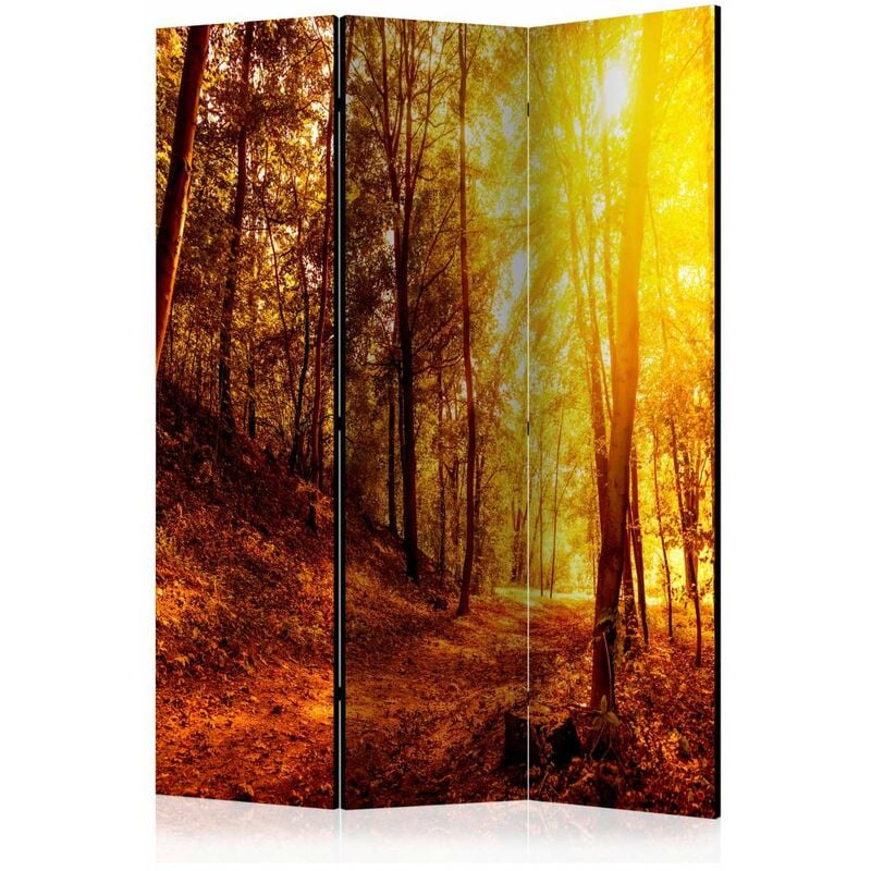 

Biombo - Autumn Walk [Room Dividers] Medidas 135X172