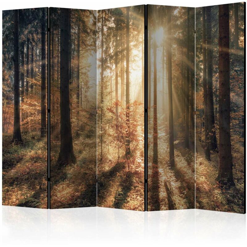 

Biombo - Autumnal Forest II [Room Dividers] Medidas 225X172