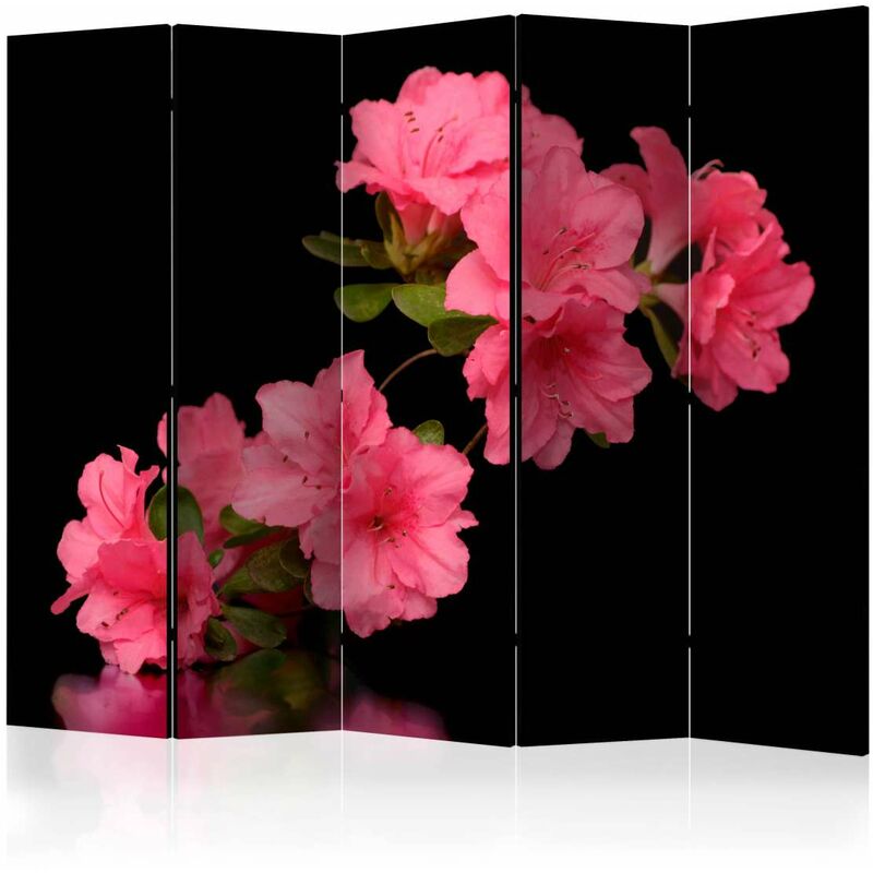 

Biombo - Azalea in Black II [Room Dividers] Medidas 225X172