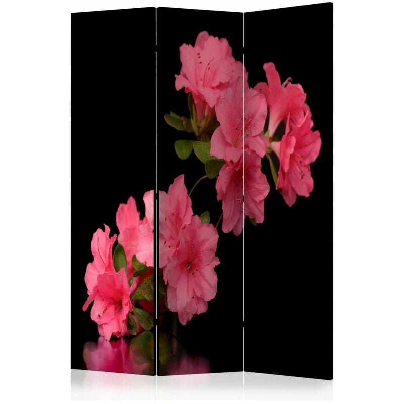 

Biombo - Azalea in Black [Room Dividers] Medidas 135X172