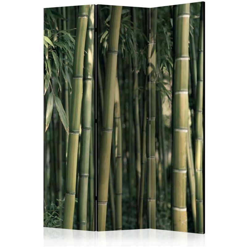 

Biombo - Bamboo Exotic [Room Dividers] Medidas 135X172