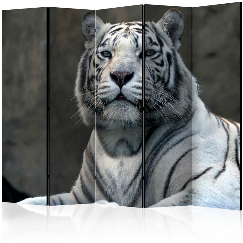 

Biombo - Bengali tiger in zoo II [Room Dividers] Medidas 225X172