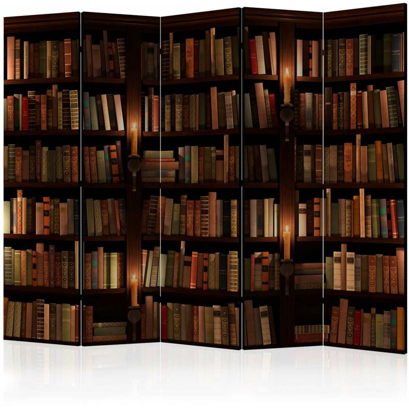 

Biombo - Bookshelves II [Room Dividers] Medidas 225X172