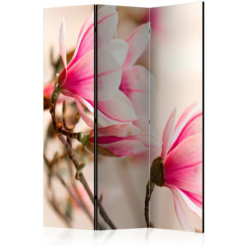 

Biombo - Branch of magnolia tree [Room Dividers] Medidas 135X172