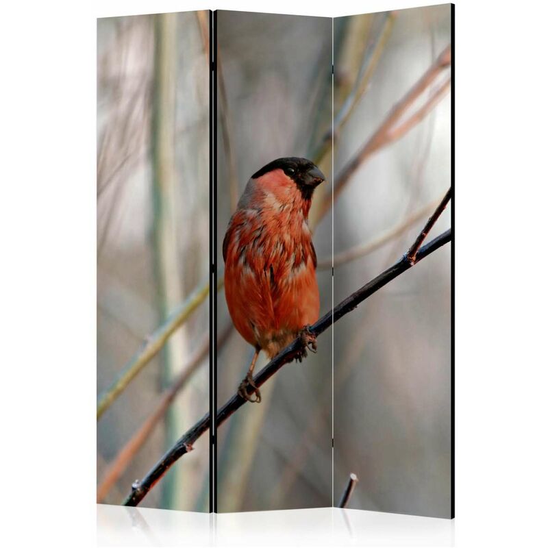 

Biombo - Bullfinch in the forest [Room Dividers] Medidas 135X172