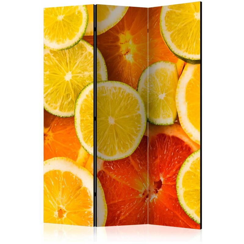 

Biombo - Citrus fruits [Room Dividers] Medidas 135X172