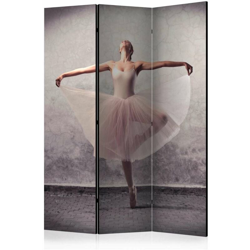 

Biombo - Classical dance - poetry without words [Room Dividers] Medidas 135X172