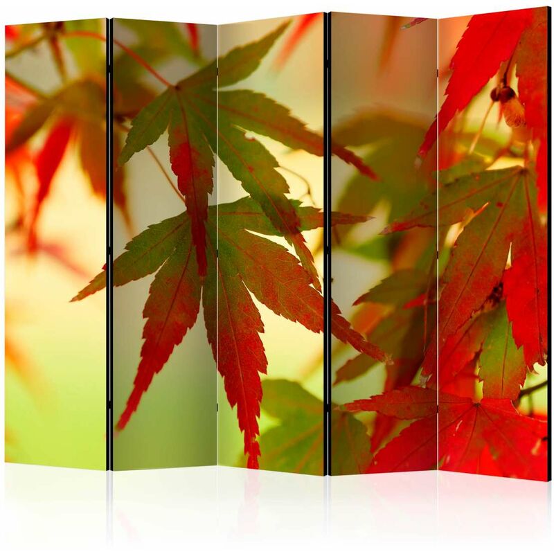 

Biombo - Colourful leaves II [Room Dividers] Medidas 225X172