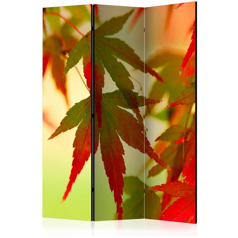 

Biombo - Colourful leaves [Room Dividers] Medidas 135X172