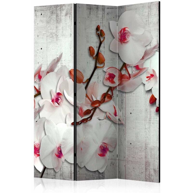 

Biombo - Concrete Orchid [Room Dividers] Medidas 135X172