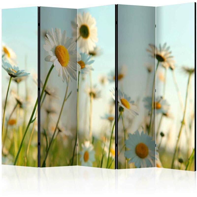 

Biombo - Daisies - spring meadow II [Room Dividers] Medidas 225X172