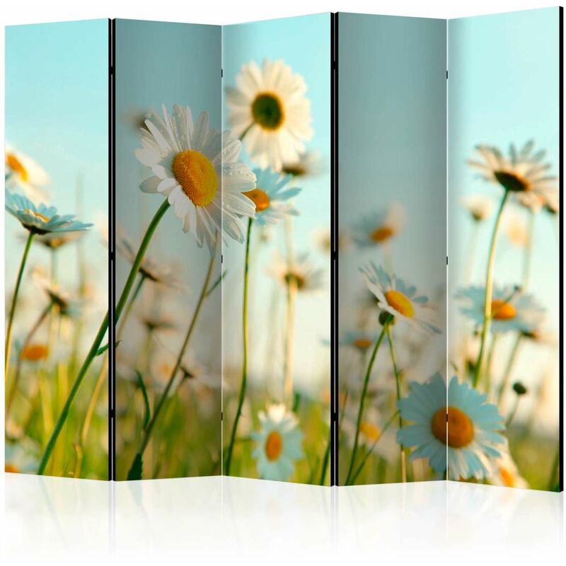 

Biombo - Daisies - spring meadow II [Room Dividers] Medidas 225X172