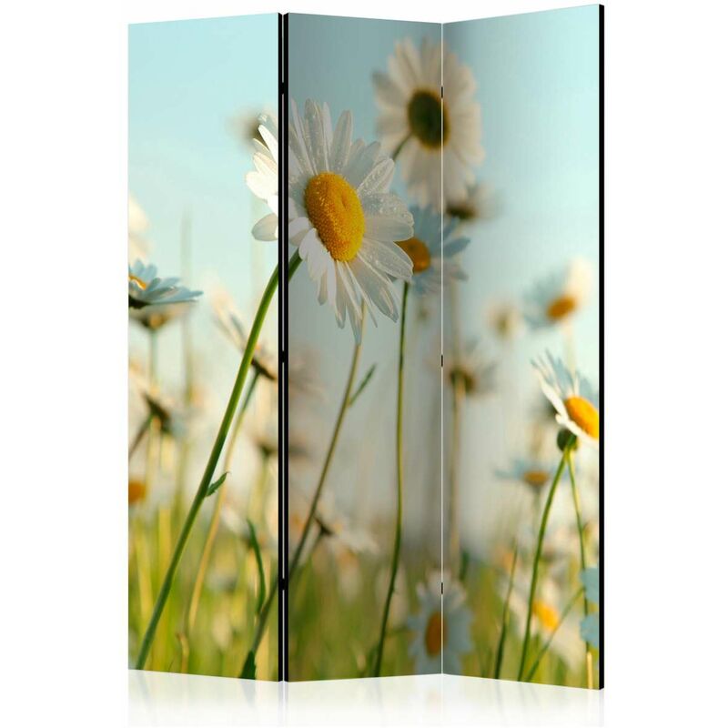 

Biombo - Daisies - spring meadow [Room Dividers] Medidas 135X172