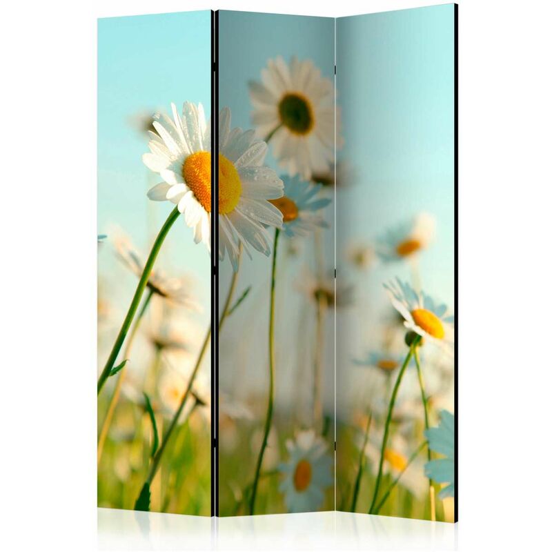 

Biombo - Daisies - spring meadow [Room Dividers] Medidas 135X172