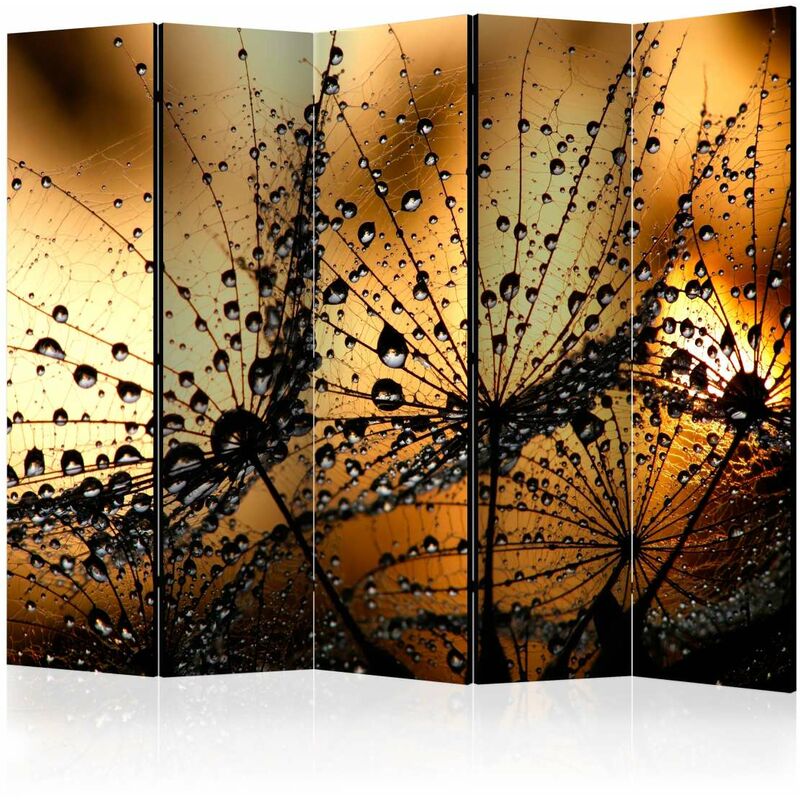 

Biombo - Dandelions in the Rain II [Room Dividers] Medidas 225X172