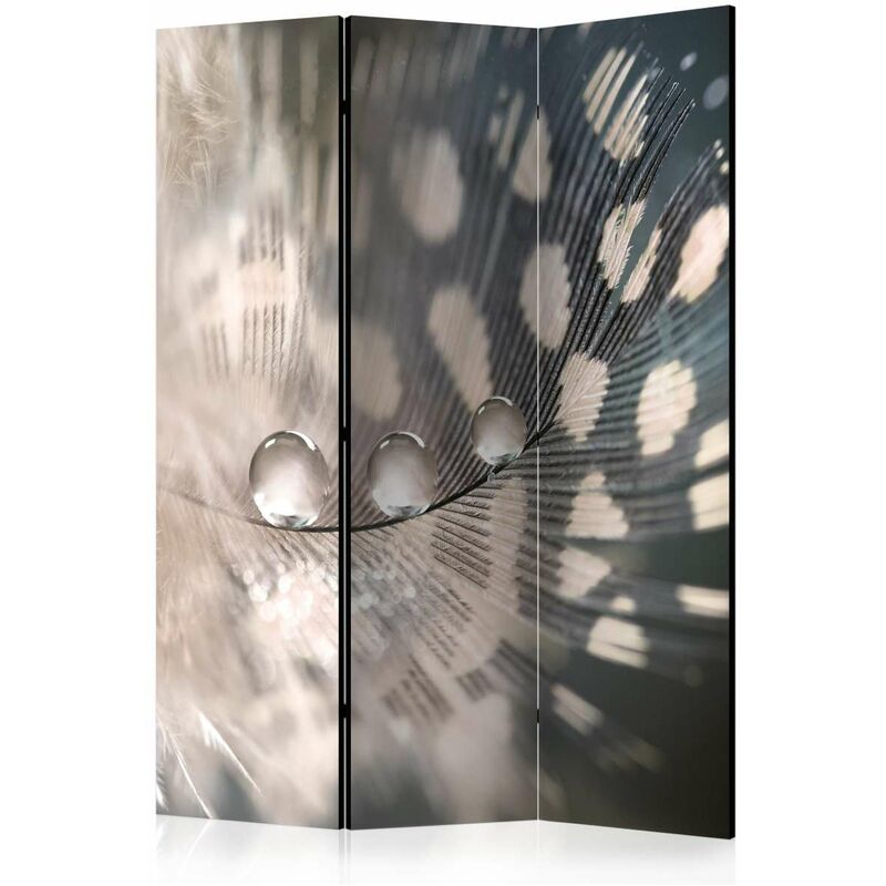 

Biombo - Elegant Feather [Room Dividers] Medidas 135X172