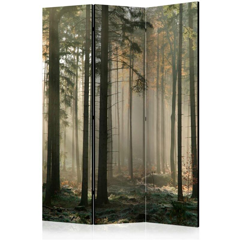 

Biombo - Foggy November morning [Room Dividers] Medidas 135X172