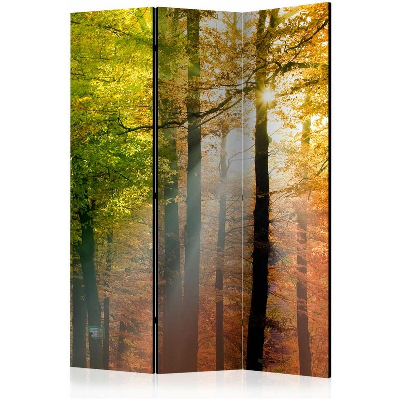 

Biombo - Forest Colours [Room Dividers] Medidas 135X172