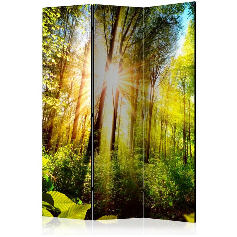 

Biombo - Forest Hideout [Room Dividers] Medidas 135X172