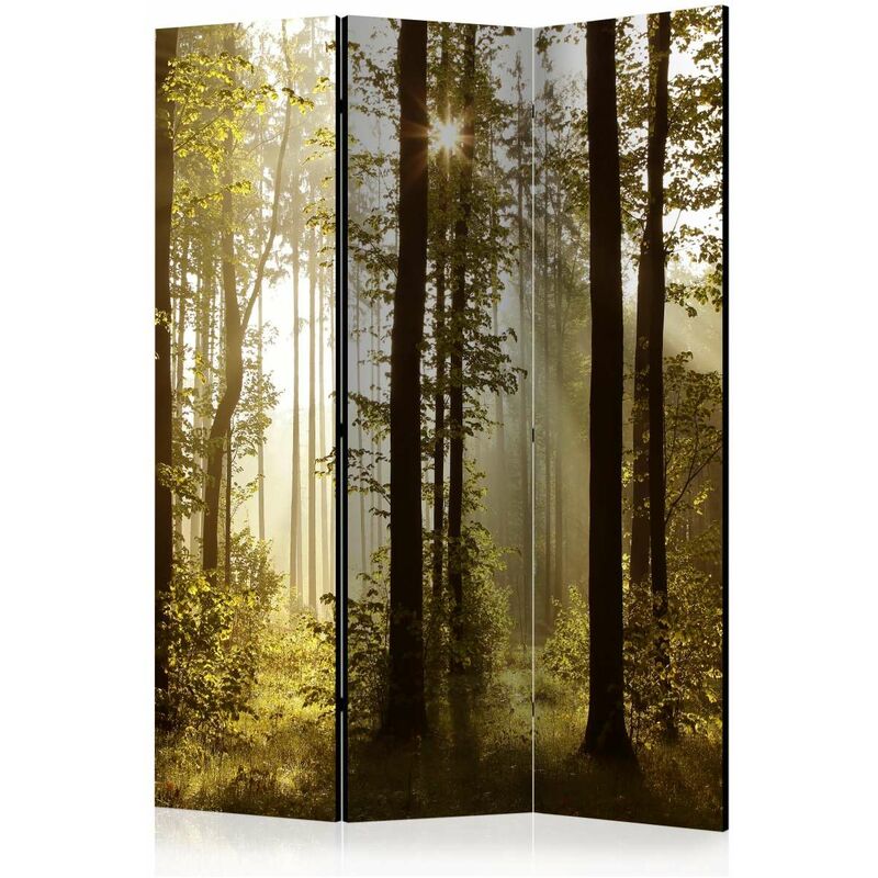 

Biombo - Forest: Morning Sunlight [Room Dividers] Medidas 135X172