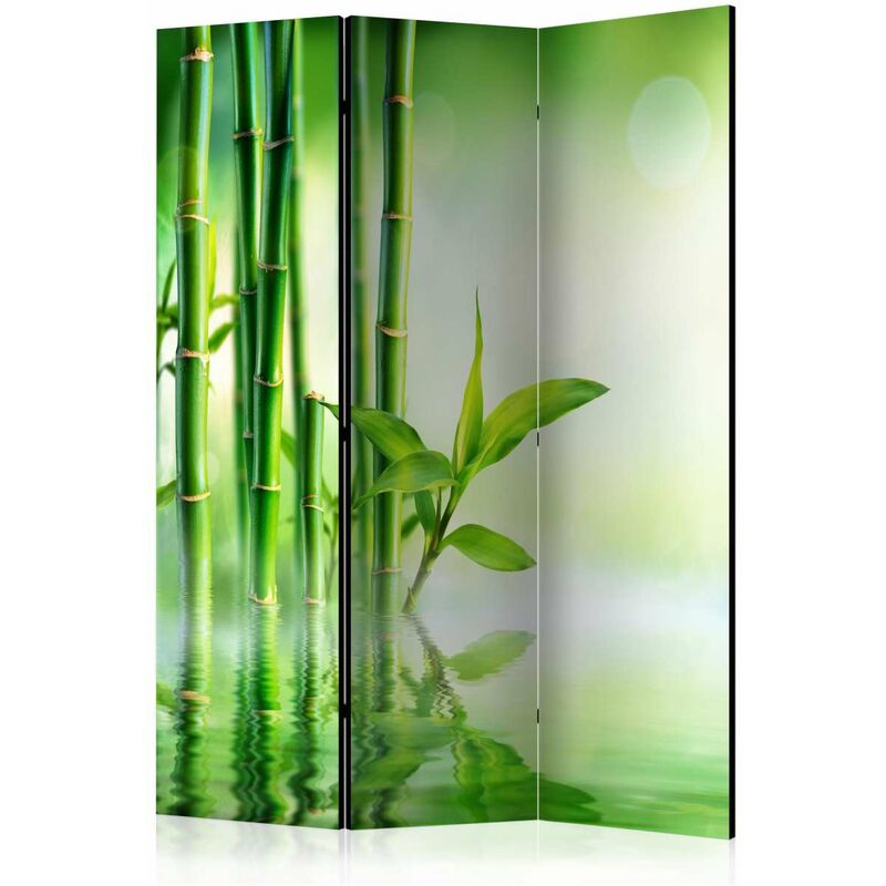 

Biombo - Green Bamboo [Room Dividers] Medidas 135X172