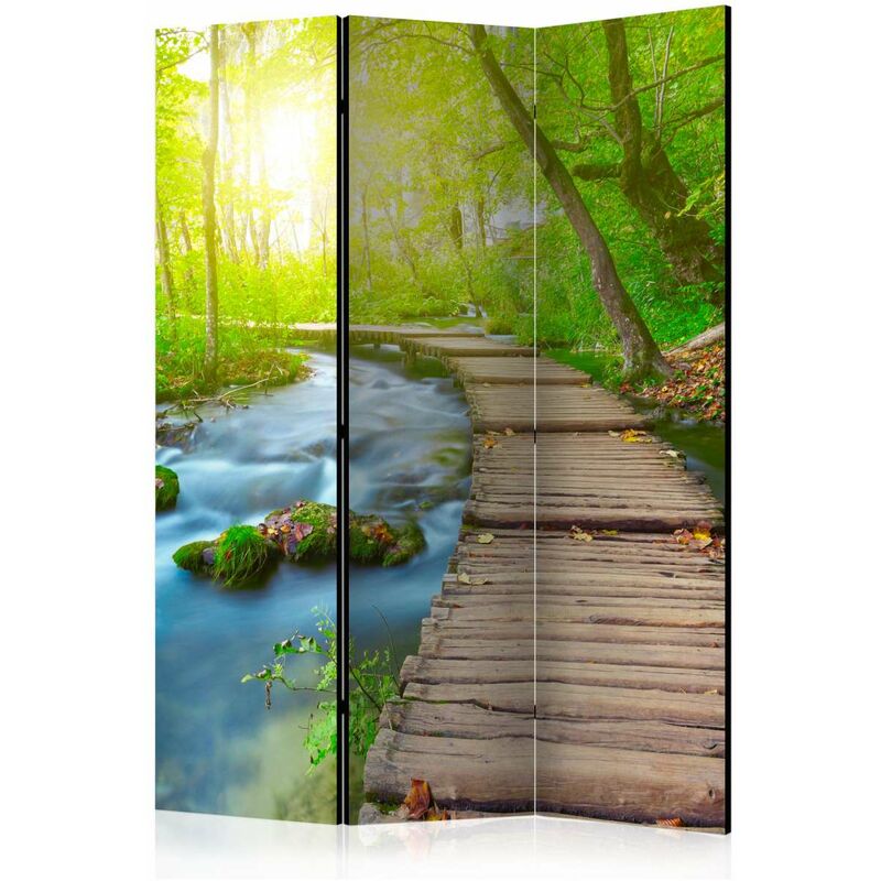 

Biombo - Green forest [Room Dividers] Medidas 135X172