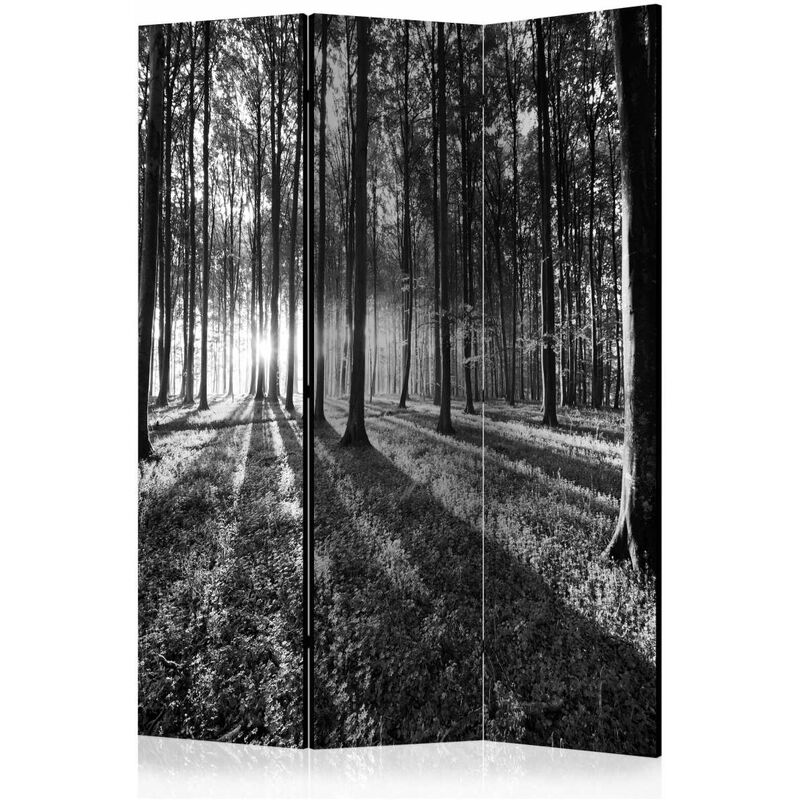 

Biombo - Grey Wilderness [Room Dividers] Medidas 135X172