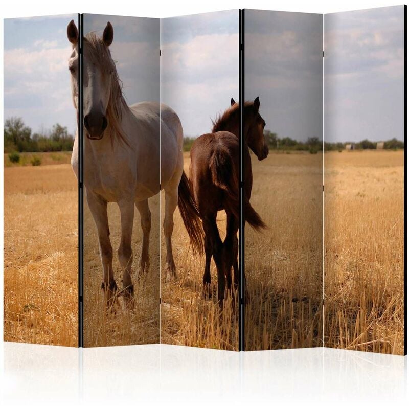

Biombo - Horse and foal II [Room Dividers] Medidas 225X172