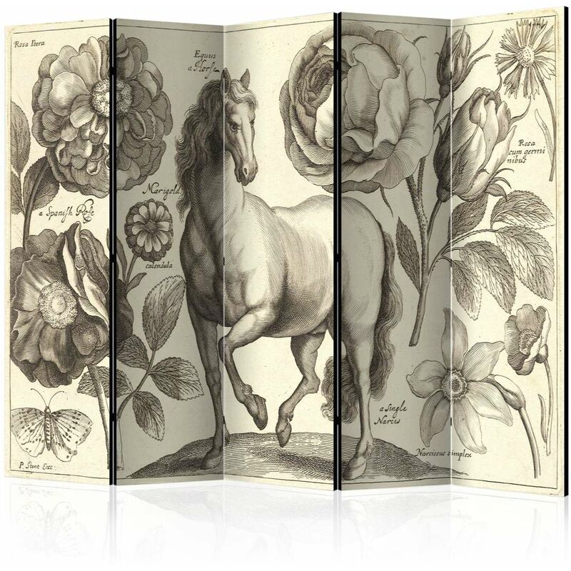

Biombo - Horse II [Room Dividers] Medidas 225X172