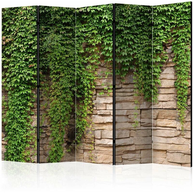

Biombo - Ivy wall II [Room Dividers] Medidas 225X172