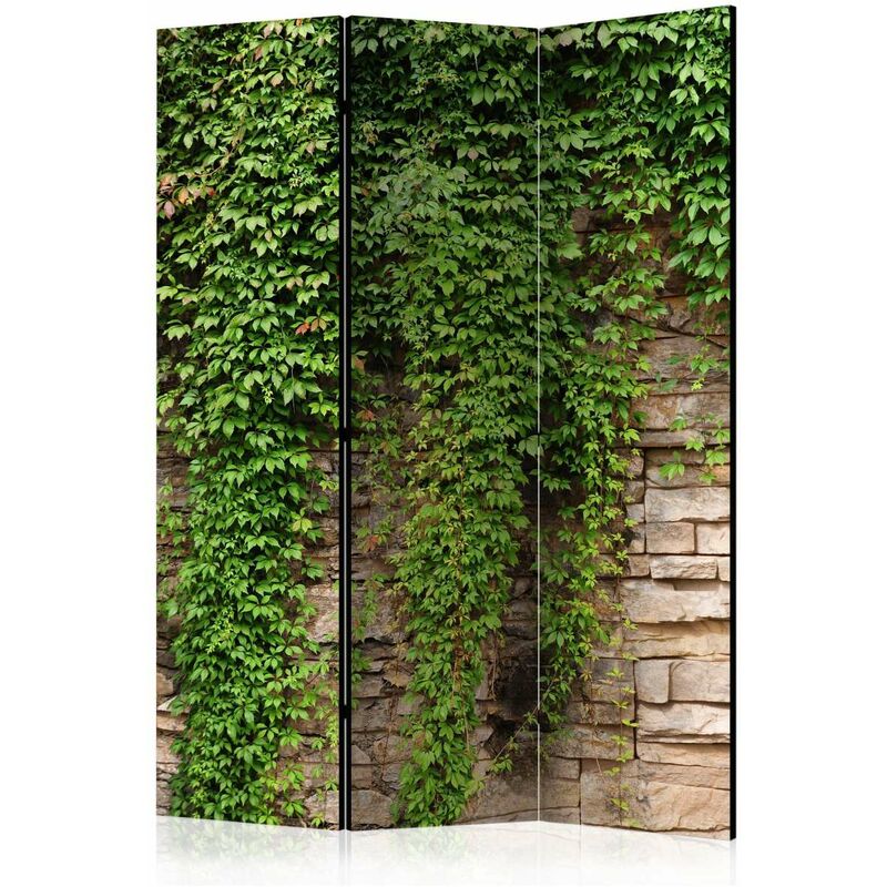 

Biombo - Ivy wall [Room Dividers] Medidas 135X172