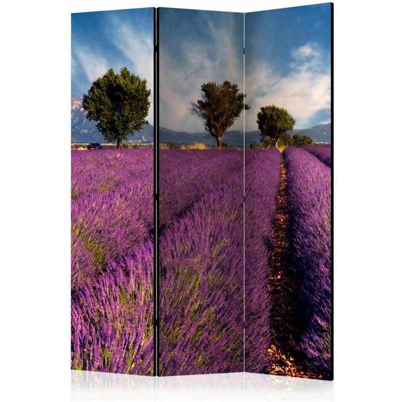 

Biombo - Lavender field in Provence, France [Room Dividers] Medidas 135X172