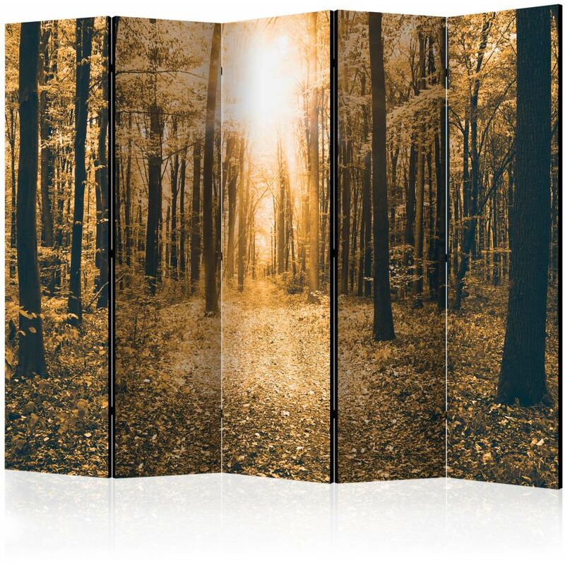 

Biombo - Magical Light II [Room Dividers] Medidas 225X172