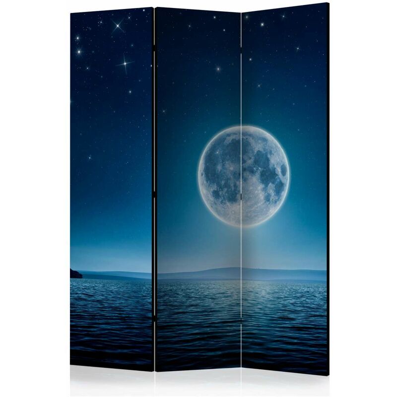 

Biombo - Moonlit night [Room Dividers] Medidas 135X172
