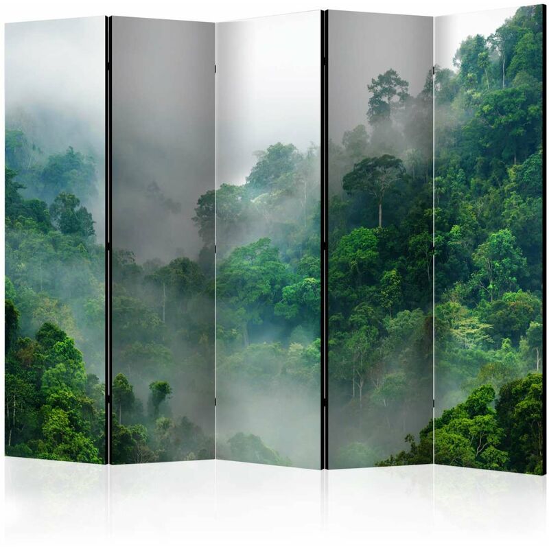 

Biombo - Morning Fog II [Room Dividers] Medidas 225X172