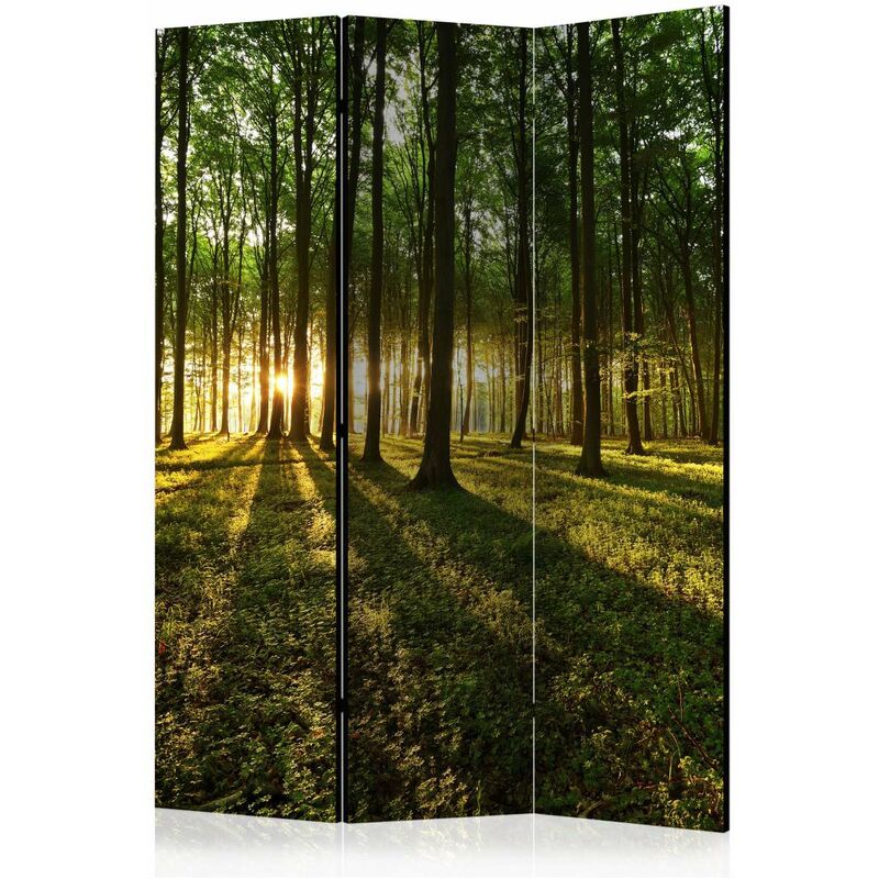 

Biombo - Morning in the Forest [Room Dividers] Medidas 135X172