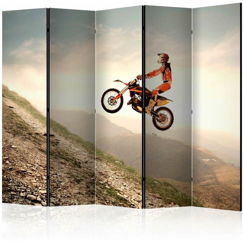 

Biombo - Motor sport II [Room Dividers] Medidas 225X172