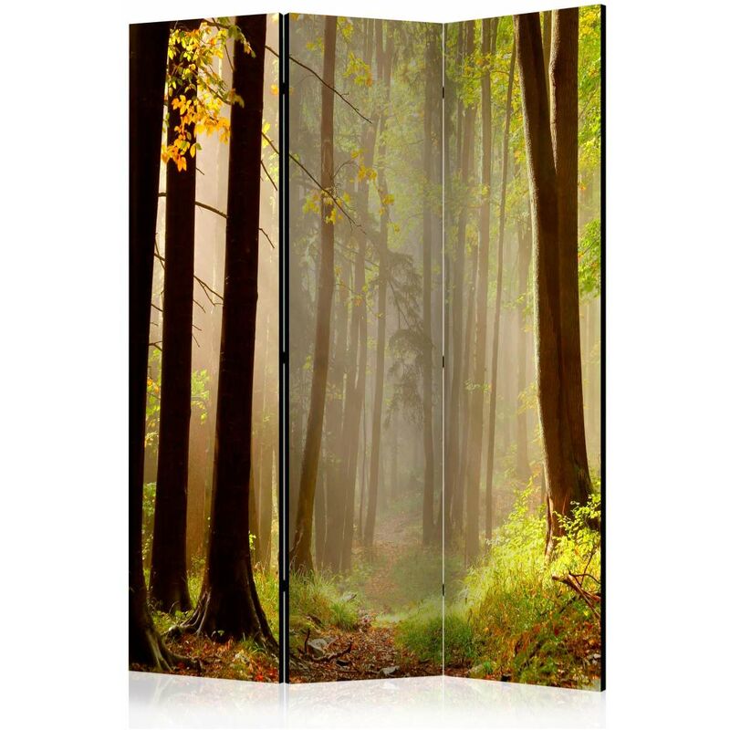 

Biombo - Mysterious forest path [Room Dividers] Medidas 135X172