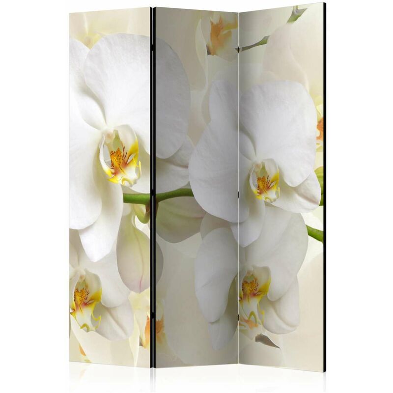 

Biombo - Orchid Branch [Room Dividers] Medidas 135X172