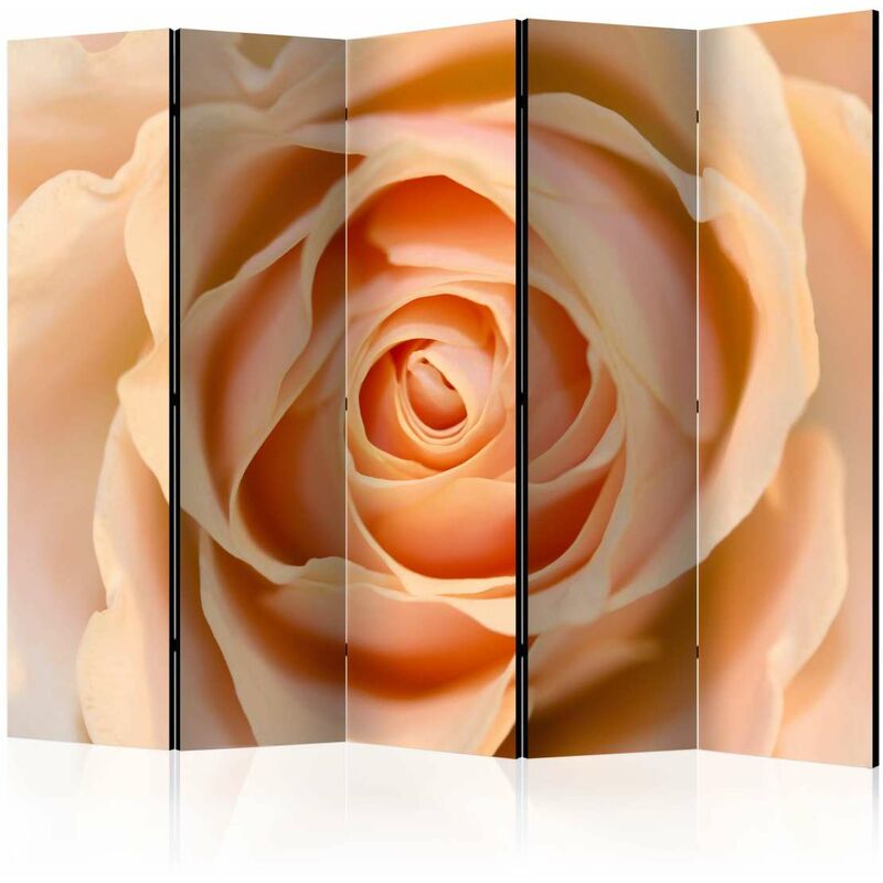 

Biombo - Peach-colored rose II [Room Dividers] Medidas 225X172
