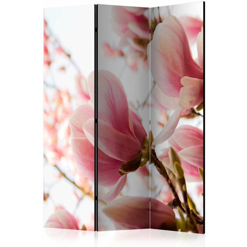 

Biombo - Pink magnolia [Room Dividers] Medidas 135X172